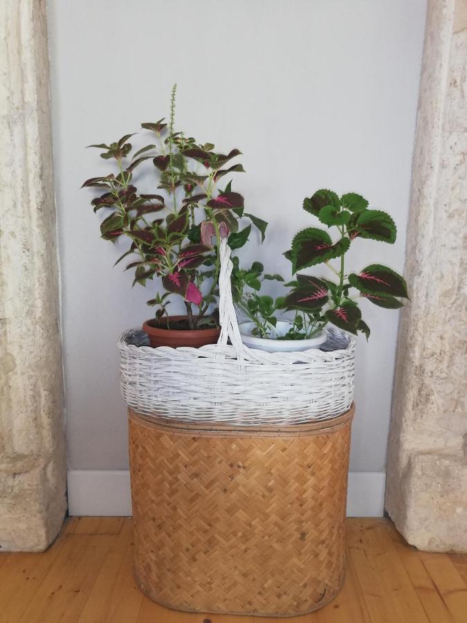 Appartement Bubibi à Cagliari Extérieur photo